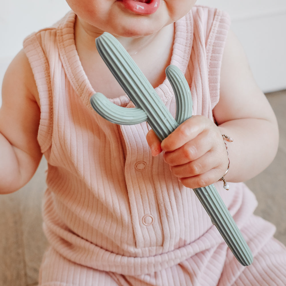 Cactus Straw Teether – avajanemade