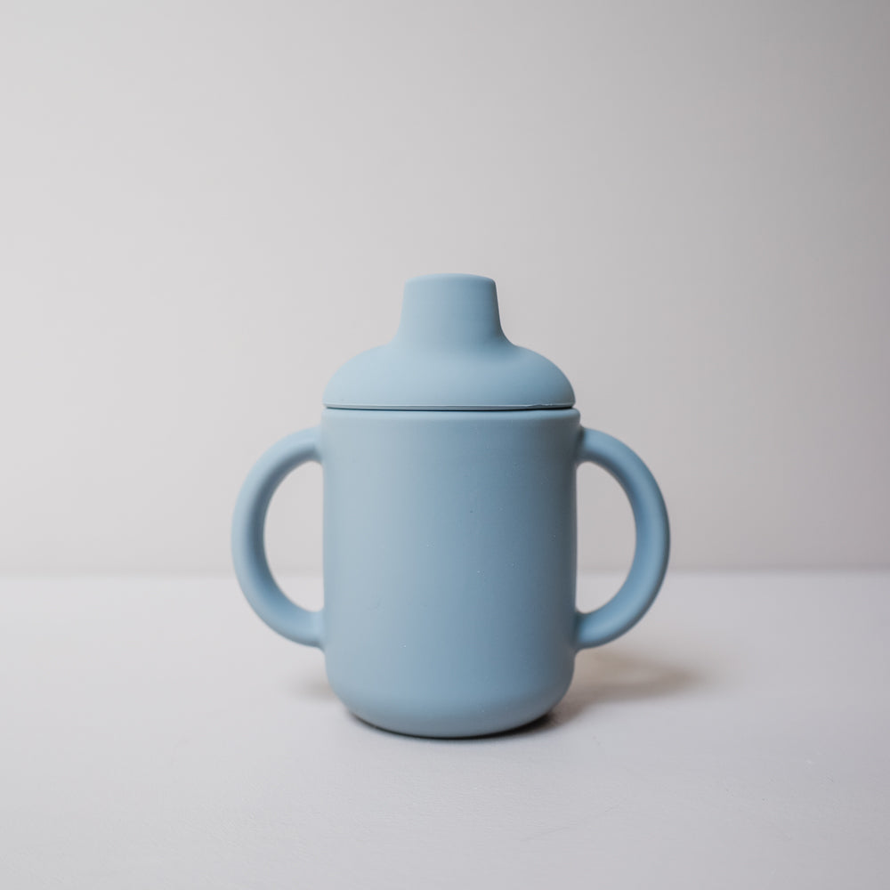 Pebble Sippy Cup